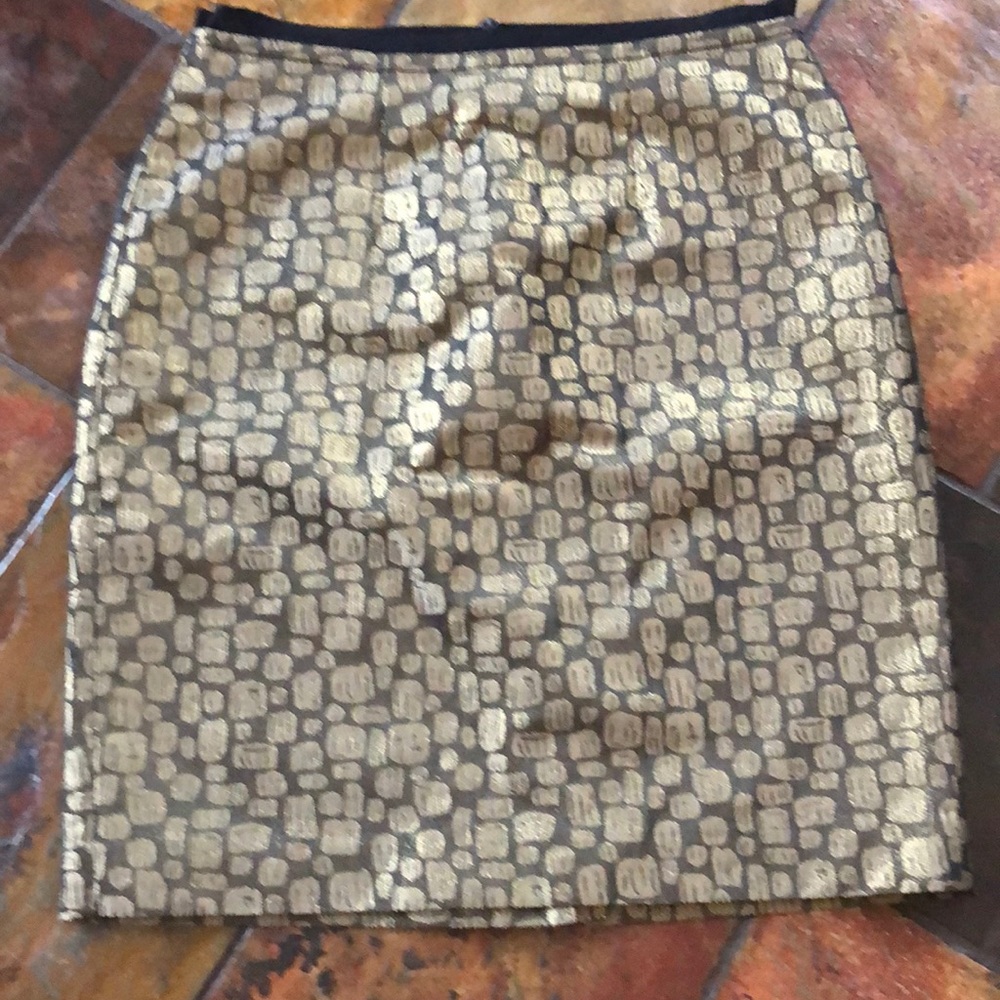 Ann Taylor Loft Skirt